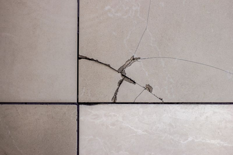 Chipped Tile Restoration